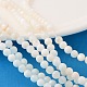 Natural Shell Beads Strands(PRS001Y)-1