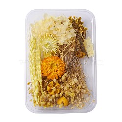 Dried Flowers, DIY Candle Soap Making Accessories, with Plastic Rectangle Box, Yellow, 1.9~13.5x0.7~10.6cm(DIY-D052-20)
