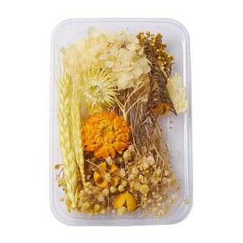 Dried Flowers, DIY Candle Soap Making Accessories, with Plastic Rectangle Box, Yellow, 1.9~13.5x0.7~10.6cm