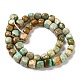 Natural Turquoise Beads Strands(G-P506-06A)-2