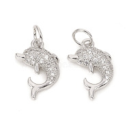 Brass Micro Pave Cubic Zirconia Charms, with Jump Rings, Dolphin, Clear, Platinum, 14x9x2.5mm, Jump Rings: 4.8x0.8mm, 3.2mm Inner Diameter(ZIRC-L096-09P)