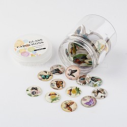 Glass Cabochons, Butterfly Printed, Flatback Half Round/Dome, Mixed Color, 25x7mm, about 50pcs/box(GGLA-JP0003-14)