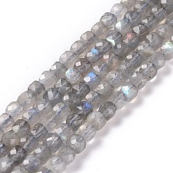 Natural Labradorite Beads Strands, Faceted, Cube, 4~4.5x4~4.5x4~4.5mm, Hole: 0.6mm, about 86~98pcs/Strand, 15.2 inch(38.5cm)(G-D0003-B10)