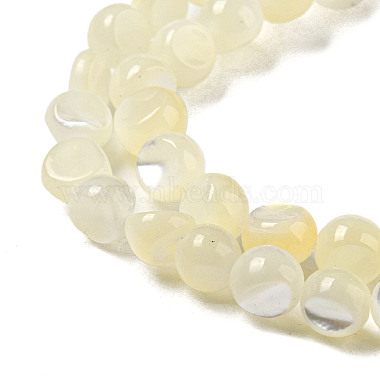 Natural White Shelll Beads Strands(SSHEL-H072-03)-3
