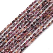 Natural Red Corundum/Ruby and Sapphire Beads Strands, Faceted, Round, 2~2.5mm, Hole: 0.5mm, about 171pcs/strand, 14.96''(38cm)(G-B037-01A)
