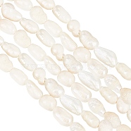 1 Strand Natural Cultured Freshwater Pearl Beads Strands, Potato, Beige, 3.5~6x3~4mm, Hole: 0.7mm, about 72~76pcs/strand, 13.58 inch~13.98 inch(34.5cm~35.5cm)(PEAR-GO0001-04)