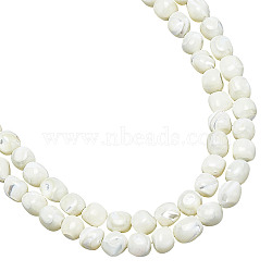 Nbeads 2 Strands Natural Trochid Shell Beads Strands, Round, Seashell Color, 8~9x7.5~9.5x7.5~9.5mm, Hole: 0.8mm, about 45pcs/strand, 15.35~15.55 inch(39~39.5cm)(SSHEL-NB0001-36)