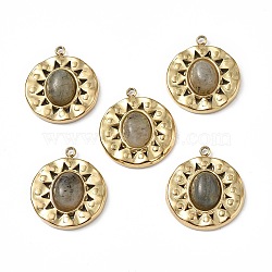 PVD Vacuum Plating 201 Stainless Steel Natural Labradorite Pendants, Real 18K Gold Plated, Flat Round Charms, 18.5x16x4.5mm, Hole: 1.4mm(STAS-C064-VC877)