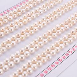 Natural Cultured Freshwater Pearl Beads, Half Drilled, Rondelle, Floral White, 4~4.5x3mm, Hole: 0.8mm(X-PEAR-P056-036)