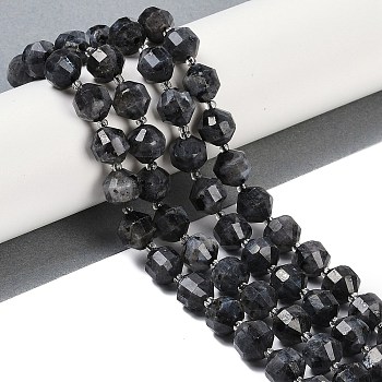 Natural Larvikite Beads Strands, Faceted, Bicone, Double Terminated Point Prism Beads, 10x9mm, Hole: 1.2mm, about 38pcs/strand, 15.08''(38.3cm)