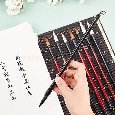 Ensemble de stylos pinceaux de calligraphie(AJEW-WH0114-65B)-4