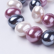 Shell Pearl Beads Strands, Oval, Colorful, 12~13x15~16x12mm, Hole: 1mm, about 30pcs/strand, 15.5 inch(BSHE-L035-E01)