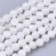 Natural Rainbow Moonstone Beads Strands, Round, Faceted, 3mm, Hole: 0.7mm, about 128pcs/strand, 15.35 inch(39cm)(G-R462-032B)