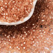 8/0 Glass Seed Beads, Frosted, Silver Lined, Round, Dark Salmon, 3x2mm, Hole: 1mm(SEED-Z001-C-E10)