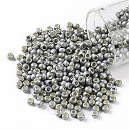 TOHO Round Seed Beads, Japanese Seed Beads, (PF565F) PermaFinish Silver Grey Metallic Matte, 8/0, 3mm, Hole: 1mm, about 222pcs/10g(X-SEED-TR08-PF0565F)
