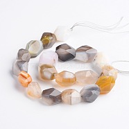 Nuggets Natural Botswana Agate Beads Strands, 15~22x8~17mm, Hole: 1mm, about 18~22pcs/strand, 15 inch(G-D770-09)