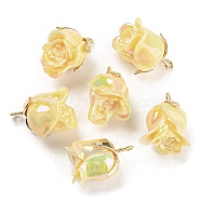 Opaque Resin Pendants, AB Color, Flower Charms with Golden Plated Alloy Leaf, Yellow, 22.5x18x17mm, Hole: 2.3mm(RESI-K031-04A-G)