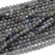 Natural Labradorite Round Bead Strands, Grade AA, 6mm, Hole: 1mm, about 63pcs/strand, 15.5 inch(G-O087-05-6mm)