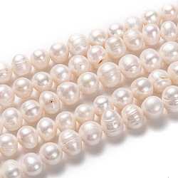 Natural Cultured Freshwater Pearl Beads Strands, Potato, Bisque, 11~13x12~17mm, Hole: 0.8mm, about 35pcs/strand, 15.35 inch(39cm)(PEAR-L033-94-01)