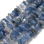 Natural Kyanite Chip Beads Strands, 5~13x4~11x1.5~8mm, Hole: 0.6mm, 31.65''(80.4cm)(G-G905-14)