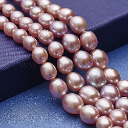 Natural Cultured Freshwater Pearl Graduated Beads Strands, Grade AAA, Potato, Dark Salmon, 5~11.5x4~9mm, Hole: 0.5mm, about 61~62pcs/strand, 15.94~16.14 inch(40.5~41cm)(PEAR-P060-05C-01)