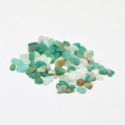 Natural Amazonite Chip Beads, No Hole/Undrilled, 2~8x2~4mm, about 8500pcs/500g(G-O103-08)