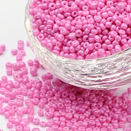 (Repacking Service Available) Baking Paint Glass Seed Beads, Hot Pink, 12/0, 1.5~2mm, Hole: 0.5~1mm, 12g/bag(SEED-C024-C-K2)