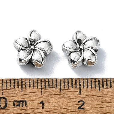 perles en alliage de style tibétain(TIBEB-F065-01AS-02)-3