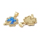 Brass Micro Pave Blue Cubic Zirconia Pendants(KK-D057-03G)-2