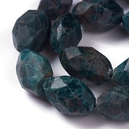 Faceted Natural Apatite Beads Strands, Oval, 22~25x15~17mm, Hole: 0.8mm, about 16pcs/strand, 15.75 inch(40cm)(G-H242-03)