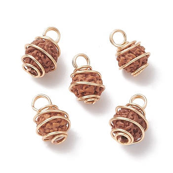 Natural Rudraksha Copper Wire Wrapped Pendants, Barrel Charms, Undyed, Golden, 15~16.5x10~11.5x11mm, Hole: 3mm