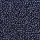 Perles rocailles miyuki rondes(X-SEED-G007-RR0171)-3
