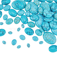 100Pcs 5 Styles Synthetic Turquoise Cabochons, Oval, Dyed, 8~25x6~18x3~6mm, 20pcs/style(TURQ-HY0001-02)