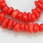 Natural Shell Beads Strands, Dyed, Chips, Red, 5~12x5~8x1~6mm, Hole: 1mm(BSHE-D002-03)