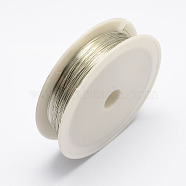 Round Iron Wire, Silver, 24 Gauge, 0.5mm, about 7m/roll(X-MW-R001-0.5mm-07)