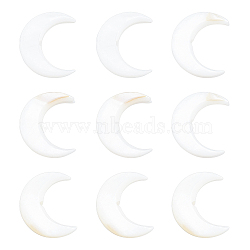 Natural Freshwater Shell Beads, Double Horn/Crescent Moon, Creamy White, 10~11x12~12.5x2.5~3mm, Hole: 1mm, 20pcs/box(SHEL-BC0001-007)