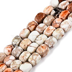 Natural Imperial Jasper Beads Strands, Dyed, Cuboid, Gainsboro, 6.5~7.5x5~6x5~6mm, Hole: 0.8mm, about 53~60pcs/strand, 15.55~15.87 inch(39.5~40.3cm)(G-N342-62K)