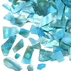 Natural Abalone/Paua Shell Mica Fragment, Nail Art Decorations, Shell Mica Slices, Dyed, Deep Sky Blue, 1~20x1~15x0.5mm(MRMJ-N026-001-A05)