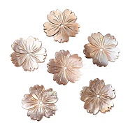 Natural Sea Shell Beads, Sakura Flower, 23.5x23.5x1mm, Hole: 1.8mm(SHEL-F007-21)