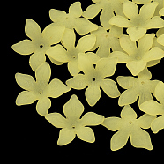 Translucent Acrylic Beads, Frosted, Flower Bead Caps, Yellow, 29x27x8mm, Hole: 2mm, about 41pcs/40g(FACR-5335-7)