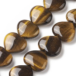 Natural Tiger Eye Beads Strands, Heart, 24~26x28~28.5x9~12mm, Hole: 1.5mm, about 15pcs/strand, 15.04~15.55 inch(38.2~39.5cm)(G-G996-B03)