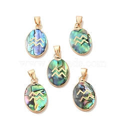 Constellation Natural Paua Shell Pendants, Golden Tone Brass Oval Charms, Aquarius, 22x13x3~3.5mm, Hole: 6x3mm(KK-P265-01G-09)