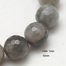 Natural Labradorite Beads Strands, Faceted, Round, Gray, 10mm, Hole: 1mm, about 38pcs/strand, 15.5 inch(G-G213-10mm-03)