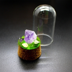 Raw Nuggets Natural Amethyst Specimen Display Decorations, Cork & Glass Arch Bell Jar for Micro Landscape Home Decorations, 30x59mm(PW-WG94411-01)