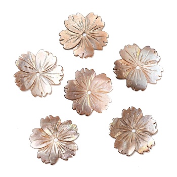 Natural Sea Shell Beads, Sakura Flower, 23.5x23.5x1mm, Hole: 1.8mm