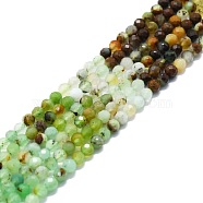 Natural Chrysoprase Beads Strands, Faceted, Round, 3mm, Hole: 0.7mm, about 132pcs/strand, 15.16''~15.55''(38.5~39.5cm)(G-P457-A02-28)