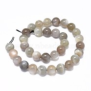Natural Grey Moonstone Beads Strands, Round, 10mm, Hole: 1mm, about 38~40pcs/strand, 15 inch(38cm)(G-F632-29-04)
