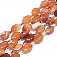 Natural Banded Agate/Striped Agate Beads Strands, Dyed & Heated, Oval, Chocolate, 23~26x16~19x5~10mm, Hole: 1.6mm, about 12~13pcs/Strand, 15.4 inch(39cm)(G-L544-010E)