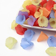 Mixed Transparent Acrylic Flower Beads, Frosted, Dyed, 18x18x17mm, Hole: 1.5mm(X-PL551M)