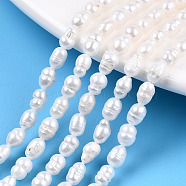 Natural Cultured Freshwater Pearl Beads Strands, Keshi Pearl Baroque Beads, Rice, Seashell Color, 5~6x3.5~4mm, Hole: 0.7~0.8mm, about 61~65pcs/strand, 13.78 inch(35cm)(PEAR-N012-03K)